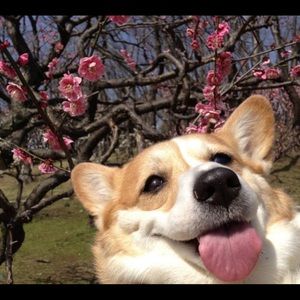 Meet your Posher, Serena